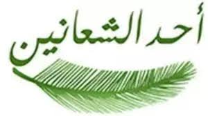حد السعف احد الشعانين يحتقل المسيحيون بحد السعف وما علاقة السعف بالمسيح 2 احد الشعانين